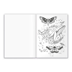 Trötsch Verlag - Books - Entspanntes Malen Traumwelten Colouring Book - 6+ - Relaxation
