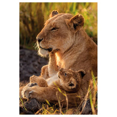 Clementoni - Feline Love Puzzle - Puzzle - Età +12 - 500 Pezzi - CLM35615