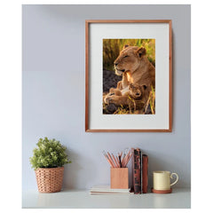 Clementoni - Feline Love Puzzle - Puzzle - Età +12 - 500 Pezzi - CLM35615