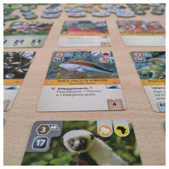 Cranio Creations - Ark Nova - Gioco da Tavolo - 14 - CC540 - Edizione Italiana