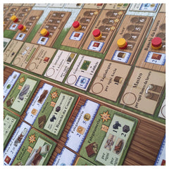 Cranio Creations - Fields of Arle - Big Box - Board Game Age: +13 - CC464 - Italian Edition