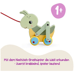 Eichhorn - Colorful-Pulling-Grasshopper - Push-Pull-Toys