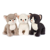 Fyrry Cat Puppy 25 cm Peluche - Assortiti