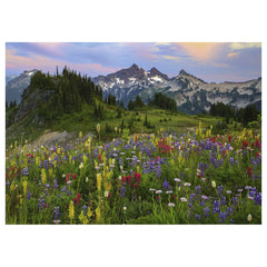 HEYE - Heya Puzzle Tatoosh Mountains - Puzzle - 14+ - HEY29903