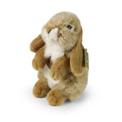Rappa - Coniglio beige in peluche 18 cm ECO-FRIENDLY - Animali di peluche