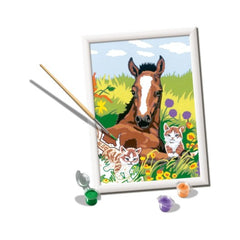 Ravensburger - Creart Foal With Kittens - Painting By Numbers - Arts & Crafts