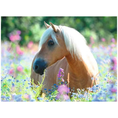 Ravensburger - Cavallo nel Mare di Fiori - 300 Pezzi - Puzzle
