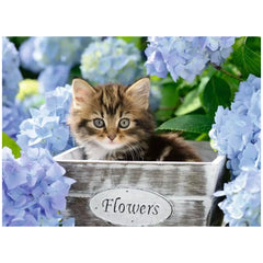 Ravensburger - Gattino - 300 Pezzi - Puzzle