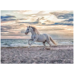 Ravensburger - Puzzle 500 Pezzi Cavallo sulla Spiaggia - Puzzle
