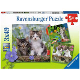 Ravensburger - Sweet Velvet Paws - 3x49 Pieces - Puzzles