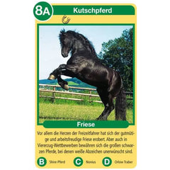 Ravensburger - Tierquartett Pferde - Card Game