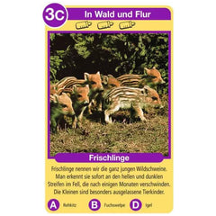 Ravensburger - Tierquartett Tierkinder - Gioco di Carte