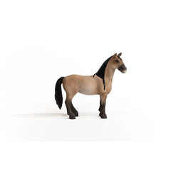 Schleich - Horse Club - Definitive Criollo Mare - Action & Toy Figures - 13948