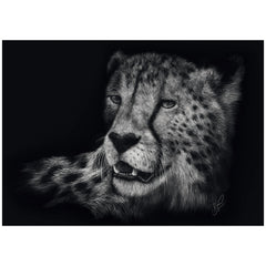 Schmidt Spiele - Speed - Cheetah, in the sign of grace 1000 pieces - puzzles