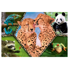 Trefl - Bellezza della Natura - Puzzle - +5 - TRF16424