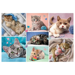 Trefl - Puzzle da 100 Pezzi - Puzzle - 5 - TRF16420