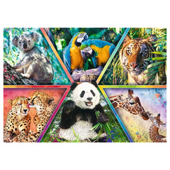 Trefl - Puzzle da 1000 Pezzi - Puzzle - 14 - TRF10672