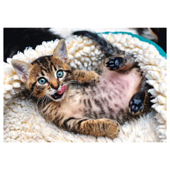 Trefl - Cheerful Kitten - Puzzle - 14+ - TRF10448