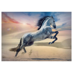 Trefl - Puzzle da 1000 pezzi - Puzzle - 14 - TRF10790