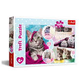Trefl - Gattini Adorabili - Puzzle - 6 - TRF15371