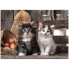 Clementoni Collezione Alta Qualità - Puzzle 1000 Pz Gattini Adorabili