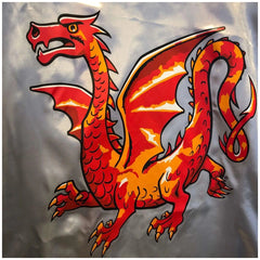 Amber Dragon Cape features a vibrant red, orange, and yellow cartoonish dragon with spread wings and a textured scale pattern