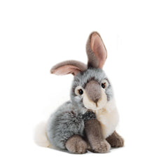 Plush & Co Lapo Little Bunny Plush 20 cm - Assorted