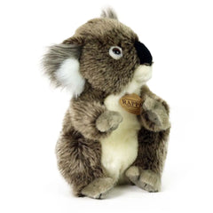 Rappa - Koala di Peluche - Peluche - +0M - RAP - ECO - KOALA - 22 - 69521187
