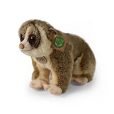 Rappa - Loris lento plush 27 cm ECO-FRIENDLY - Peluche