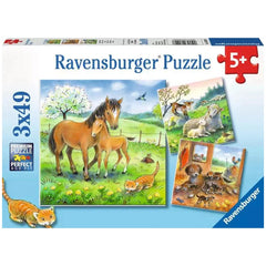 Ravensburger - Tempo di Coccole - 3x49 Pezzi - Puzzle
