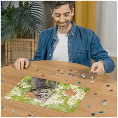 Ravensburger Puzzle 500 Pezzi Gatti nel Campo