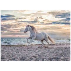 Ravensburger - Puzzle 500 Pezzi Cavallo sulla Spiaggia - Puzzle