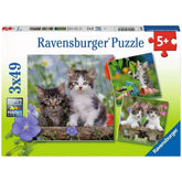 Ravensburger - Sweet Velvet Paws - 3x49 Pieces - Puzzles