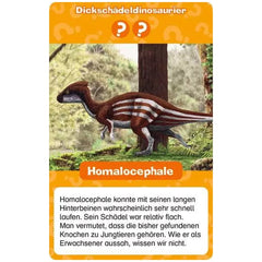 Ravensburger - Wieso? Weshalb? Warum? Dinosaurier Quartett - Gioco da Tavolo - Edizione Tedesca