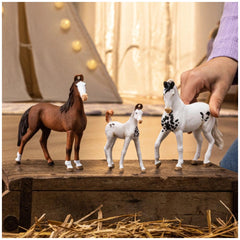 Schleich - Horse Club - Marwari Foal - Action & Toy Figures - 14896
