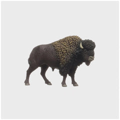 Schleich - Wild Life - Bison - Action & Toy Figures - 14879