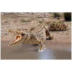 Schleich - Wild Life - Coccodrillo - Action e Figure da Gioco - 14736