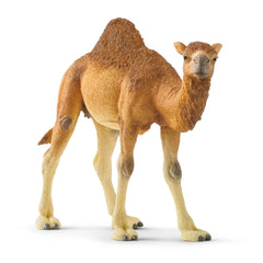 Schleich - Wild Life - Dromedary - Action & Toy Figures - 14832