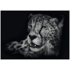 Schmidt Spiele - Speed - Cheetah, in the sign of grace 1000 pieces - puzzles