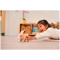 Simba - PetZoo BunBun Rabbit Plush Figure - Robotic Toys