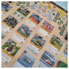Cranio Creations - Ark Nova - Gioco da Tavolo - 14 - CC540 - Edizione Italiana