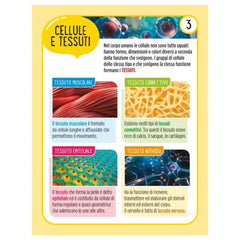 Edizioni del Borgo - Il Corpo Umano - Book Age: +3 - +6 - EDB58476A - Italian Edition