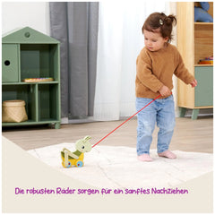 Eichhorn - Colorful-Pulling-Grasshopper - Push-Pull-Toys