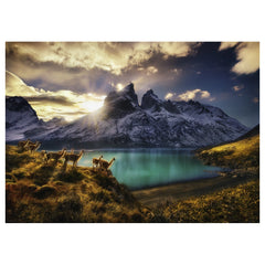 Heye - Guanacos Puzzle - Puzzles - +14 - HEY29815