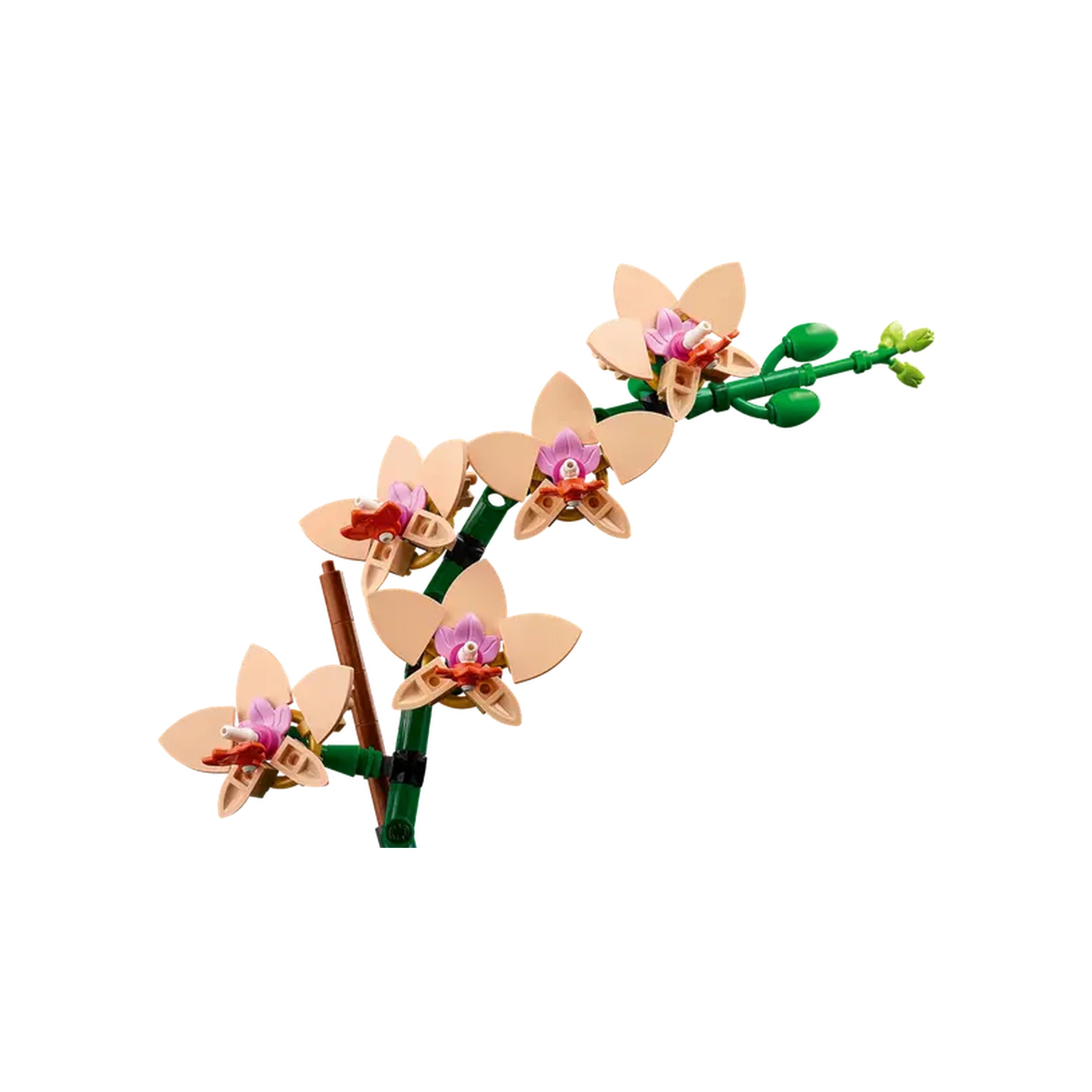 LEGO® Botanicals Mini Orchid set featuring five peach blooms, purple accents, and green leaves on a curved stem against a white background.
