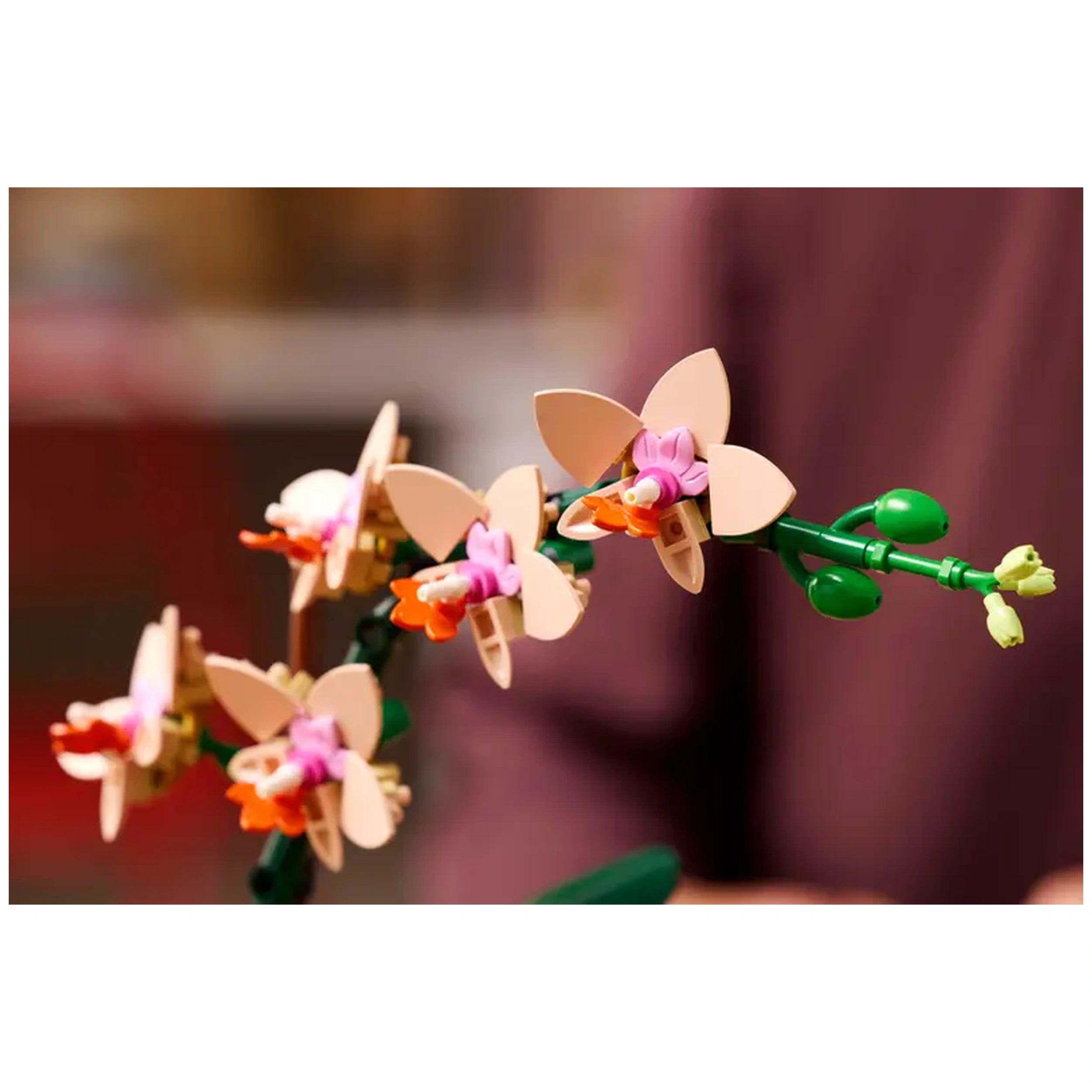Delicate LEGO Botanicals Mini Orchid with five peach blooms, pink accents, and green leaves, showcasing intricate details against a blurred background.