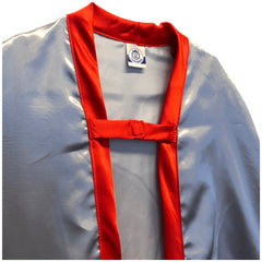 Liontouch - Mantello del Drago Ambra - La Linea del Cavaliere Drago Ambra - Professioni Immaginarie e Gioco di Ruolo