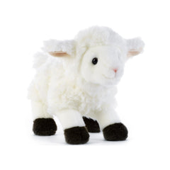 Plush & Co - Kirack il piccolo agnello di peluche 21 cm - Animali di peluche