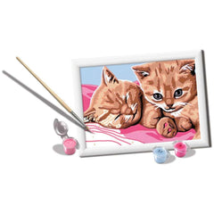 Ravensburger - Creart Kitten Friends - Painting By Numbers - Arts & Crafts
