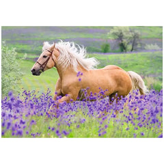 Ravensburger - Amore per i Cavalli - 2x24 Pezzi - Puzzle